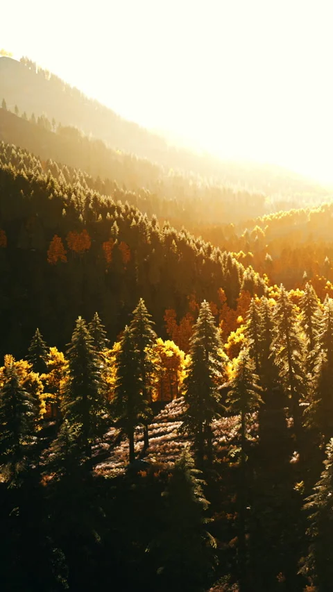 Sunlight shines over trees in a mountain landscape during fall season Stock Footage 341243902