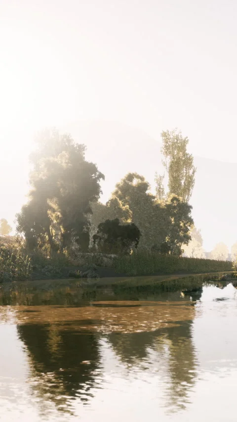 Sunlight shines on a quiet river surrounded by trees and plants in nature Vídeo Stock 342219765