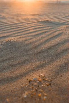 Sunlight shines on sandy beach, creating patterns in the grains as evening .. Stock Photos