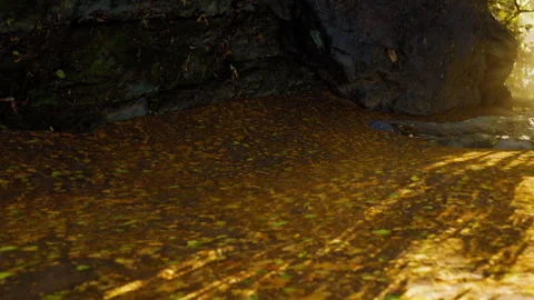 Sunlight shines on a stream covered with autumn leaves near a rocky bank Stock Footage 345060413