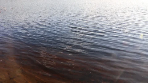 Sunlight shines on the surface of the sea water. Video stock 107409989