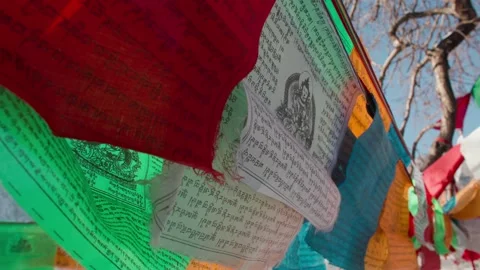 Sunlight shines through the ancient trees - prayer flags flutter 動画素材 233599695