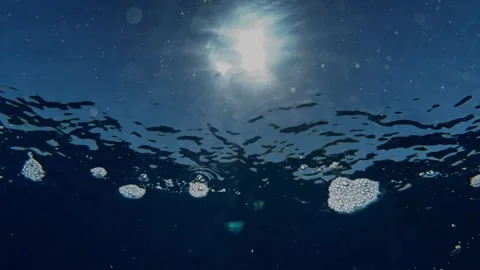 Sunlight shines through the ocean surface as bubbles drift underwater in Stock Footage 338001147
