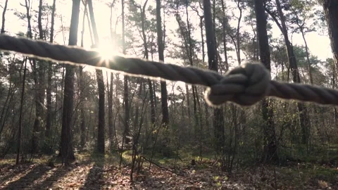 Sunlight shines through a rope knot in a forest Stock Footage 293082270