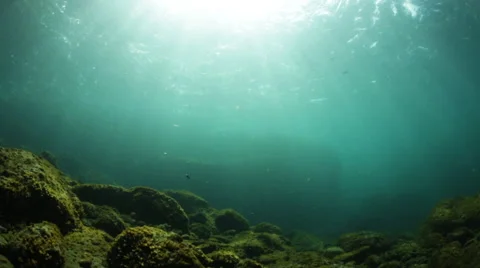 Sunlight shines through surface of water Stock Footage 51747045