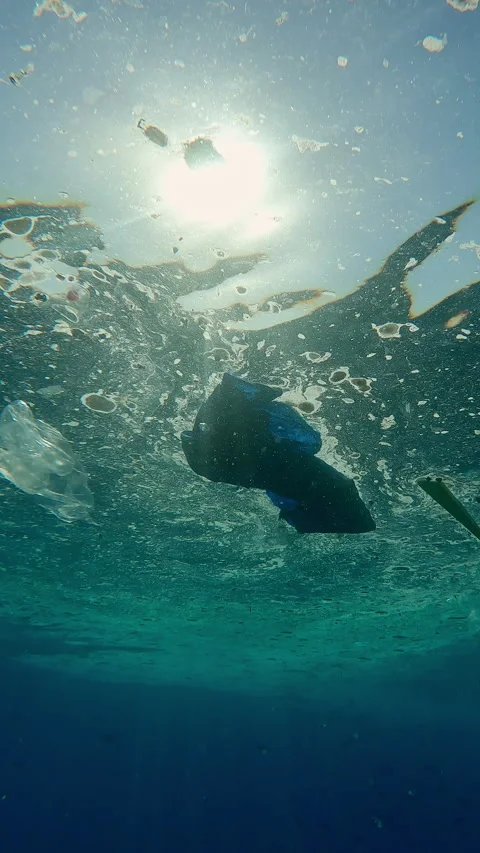 Sunlight shines through surface of water covered with plastic debris and layer Stock Footage 345680847
