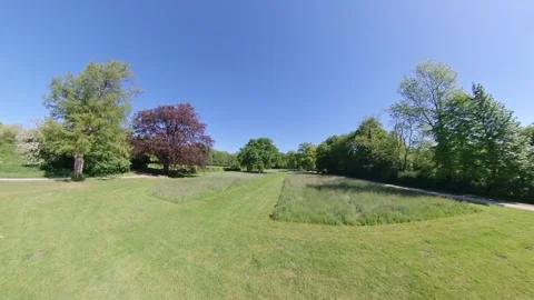 Sunlight shines through a Tree in Summer Stock Footage 277792858