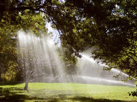 Sunlight shines through trees and water from a sprinkler Stock Photos