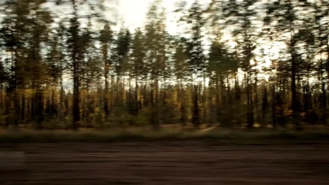 Sunlight shines through the trees, beautiful nature. Car window view, background Stockbeeldmateriaal 142055138