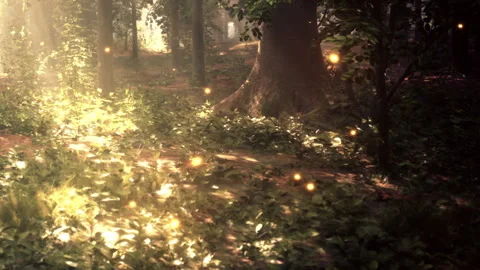 Sunlight shines through trees in a forest with small glowing lights Stock Footage 344872021