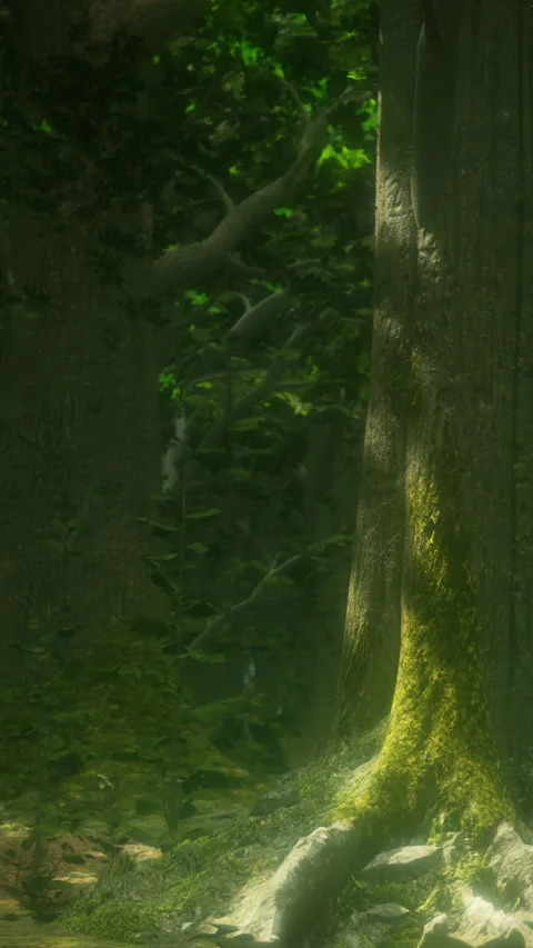 Sunlight shines through trees in a green forest during daytime in spring Stock Footage 338420187
