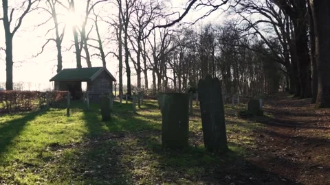 Sunlight shines through the trees in a peaceful cemetery Stock Footage 293082740