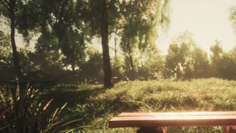Sunlight shines through trees in a quiet park during the afternoon Vidéo 344405846