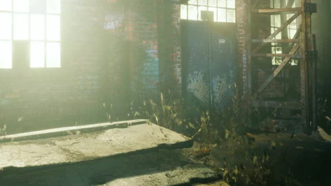 Sunlight shines through windows of an old building with steps and plants Stock Footage 342813554