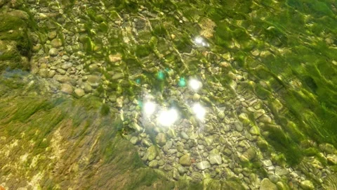 Sunlight shining on clear river water. Stock Footage 217414850