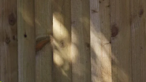 Sunlight shining creating patterns of light on a wooden fence Stock-Footage 245485123