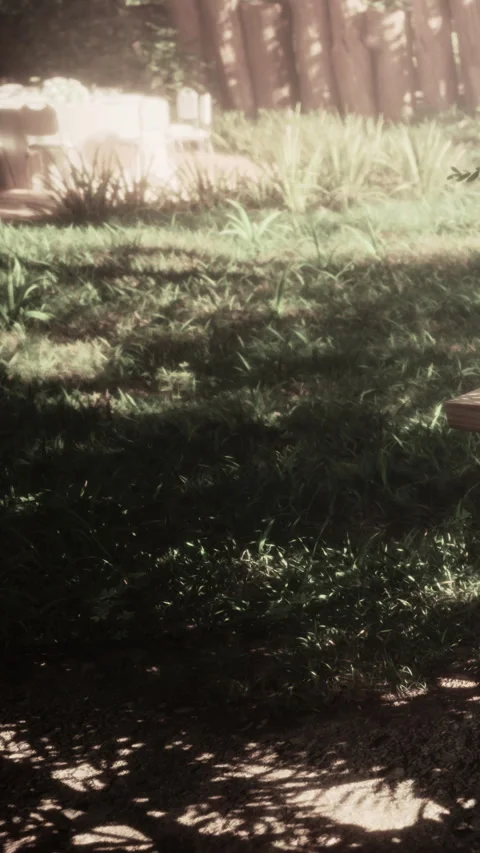 Sunlight shining on grassy area next to path in garden Stock Footage 342707905