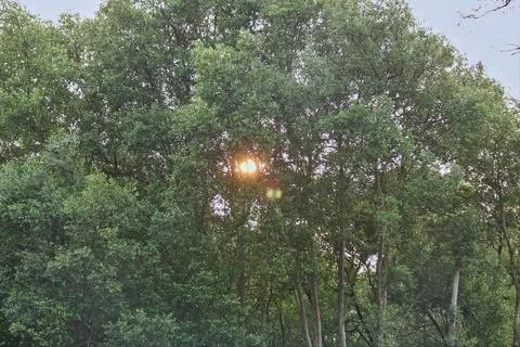 Sunlight shining Stock Photos