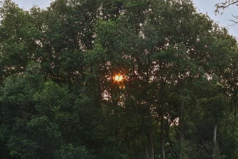 Sunlight shining Foto stock