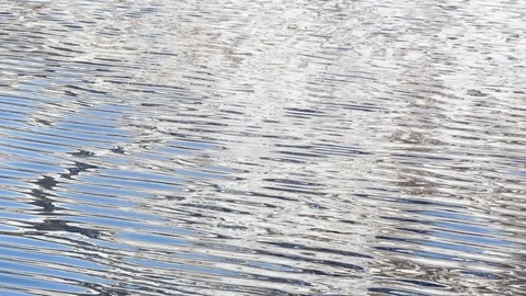 Sunlight shining on a rippling lake surface Stock Footage 113229318