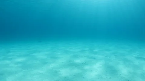 The Sunlight Shining on the Seabed of White Sands 스톡 동영상 327389410