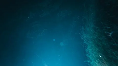 Sunlight shining ,the surface and under the blue ocean, sea wave , with cle.. Stock Photos