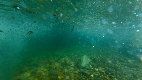 Sunlight shining ,the surface and under the blue ocean, sea wave , with cle.. Stock Photos