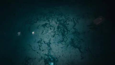 Sunlight shining ,the surface and under the blue ocean, sea wave , with cle.. Stock Photos