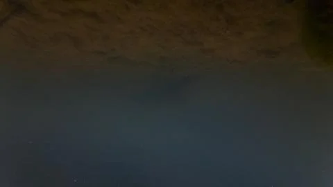 Sunlight shining ,the surface and under the blue ocean, sea wave , with cle.. Stock Photos