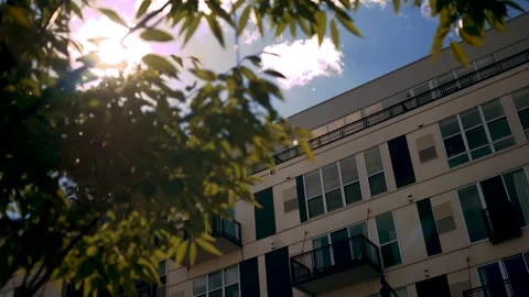 Sunlight shining through branches near modern apartment building - Sunnyl ve Stock Footage 287782501
