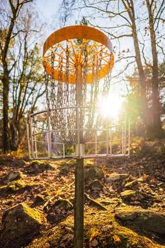 Sunlight shining through disc golf basket in woods Stock Photos