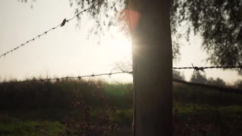 Sunlight shining through a fence post and tree branches Stock Footage 292924445
