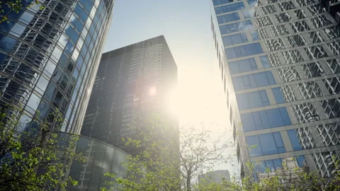 Sunlight shining through green trees branches beside modern glass skyscrapers Vídeo Stock 335963543