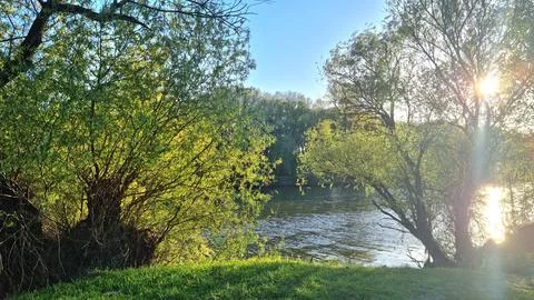 Sunlight shining through green trees by the riverbank. Stock Photos