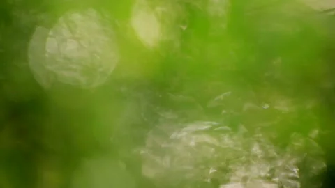 Sunlight shining through the leaves of trees, natural blurred background, Nature Stock Footage 90418532