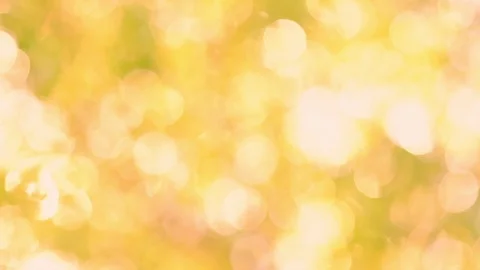 Sunlight shining through the leaves of trees, natural blurred background Stock Footage 110259248