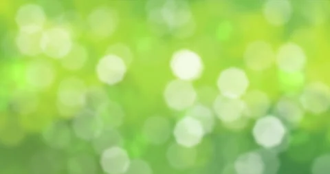 Sunlight shining through the leaves of trees. Bokeh Background. Loop Animation Stock Footage 220333325