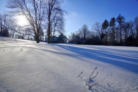 The sunlight shining through the maple tree in the snow covering thepublic park Stock Photos