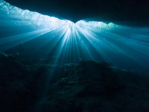 Sunlight shining through an opening in the El Jardin del Eden cenote. Stock Photos