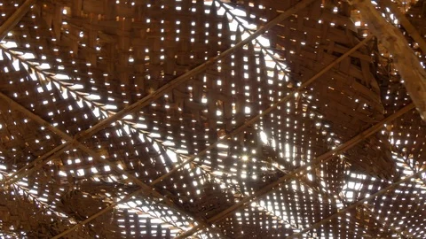 Sunlight shining through a palm leaf. Sun glare through the leaves of the trees. Stock Footage 120121962