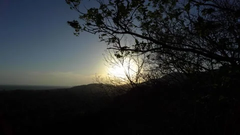 Sunlight Shining Through Tree Branches in a Tropical Forest Stock-Footage 339406617