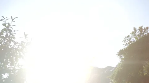 Sunlight Shining Through Tree Video stock 45618627