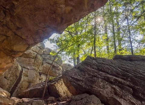 Sunlight shining through trees above rocky cave entrance Stock Photos