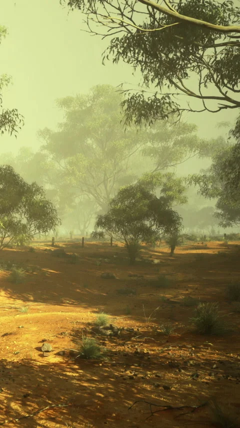 Sunlight shining through trees in a dry landscape during the day Stock Footage 331670392