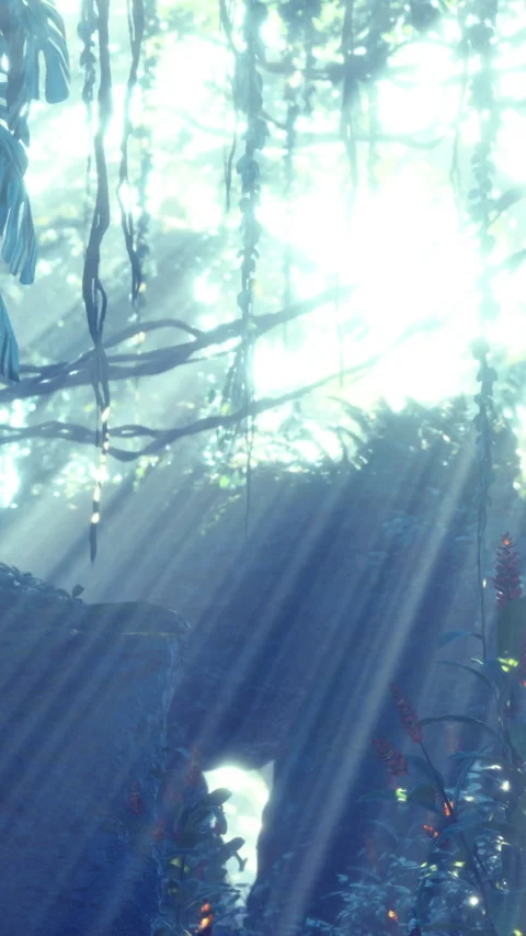 Sunlight shining through trees in a forest during daytime hours 库存影片 335975528