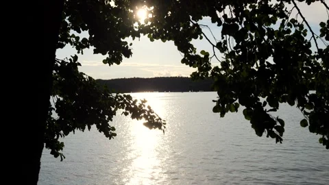 Sunlight Shining Through Trees Over a Calm Lake Stock Footage 345152680
