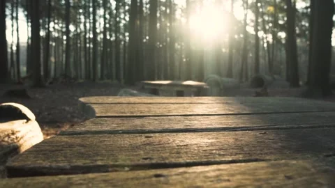 Sunlight shining through trees onto wooden table Video stock 293082203