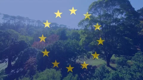 Sunlight showing faint stars while ring of 12 gold stars forming to build emblem Stock Footage 328686002
