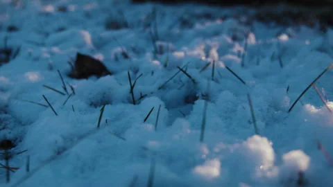 Sunlight on the snow on the lawn Stock Footage 100538176