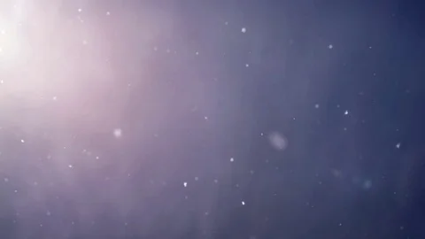 Sunlight Snowflakes Overlay Stock Footage 82252384